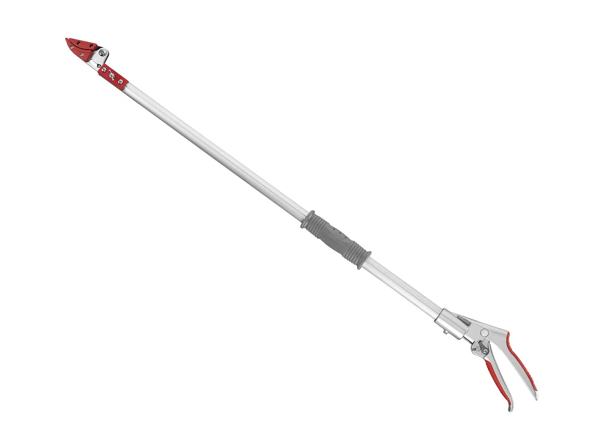 Ausonia - 35082 TIJERAS DE PÉRTIGA RECOGEFRUTA DE 100 CM CON HOJA TEFLONADA