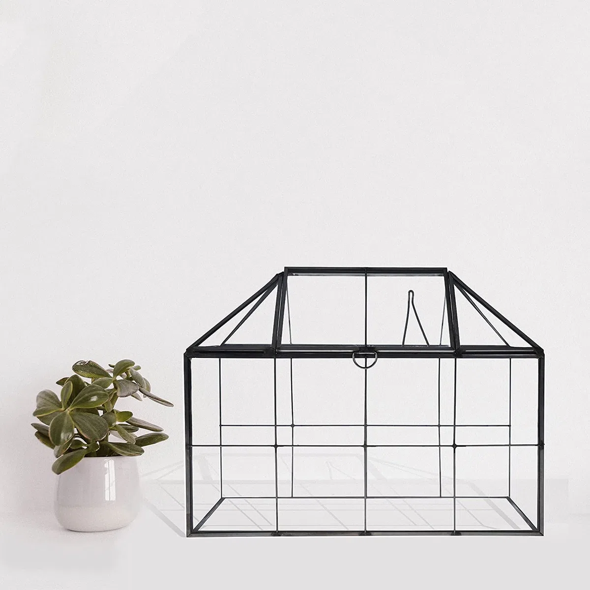 Terrario geométrico de Homtone, 23 cm, en forma de casa, negro, hecho a mano, de vidrio, maceta grande para plantas, vintage, para miniaturas de flores de mesa, para plantas suculentas, cactus y