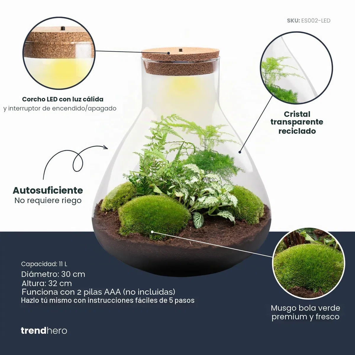 urbanjngl - Terrario para plantas Sam XL con luz - Kit de bricolaje para un ecosistema sostenible - Diámetro 30 cm, altura 32 cm - Ideal para amantes de las plantas y diseño creativo