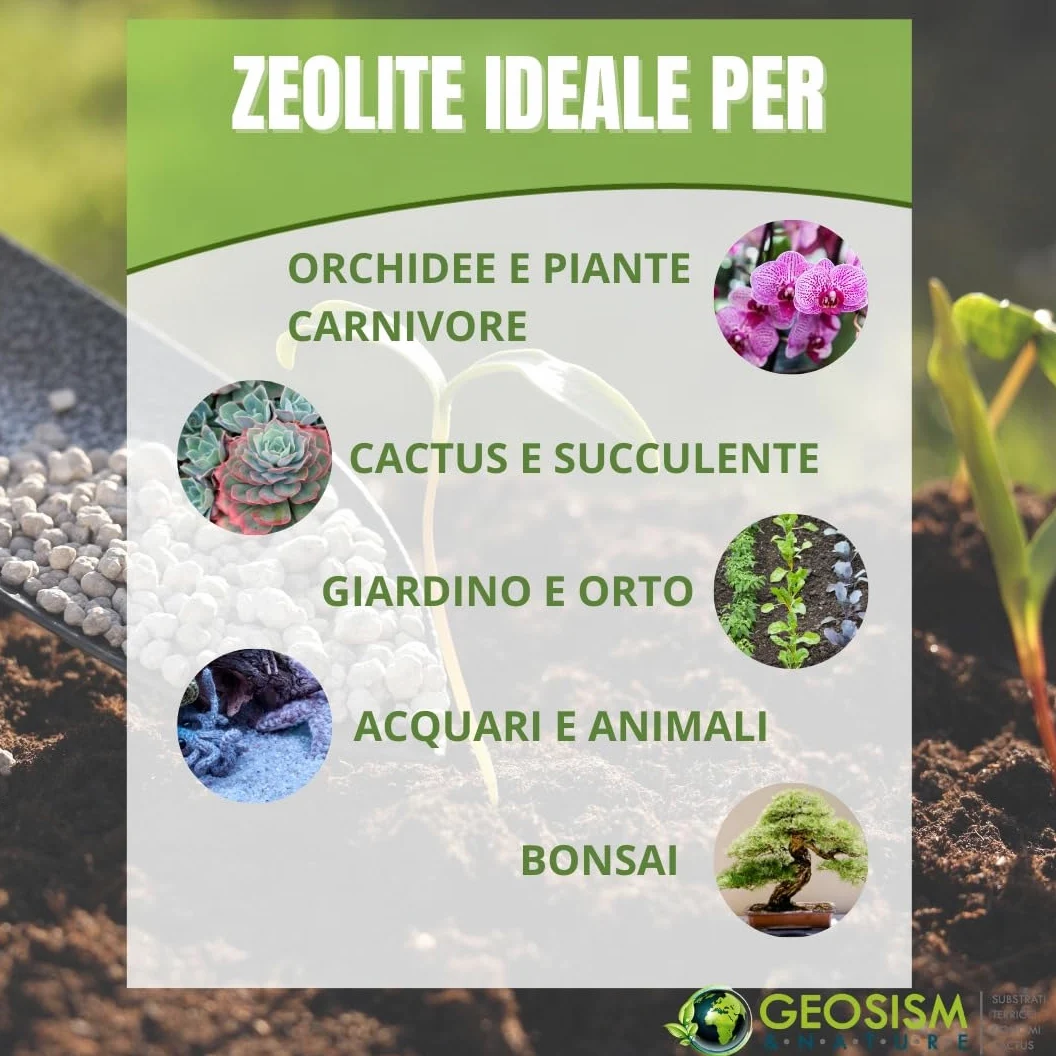 Zeolita a base de Chabasita y Phillipsita 2/5 mm (20 kg), mejorador del suelo para plantas