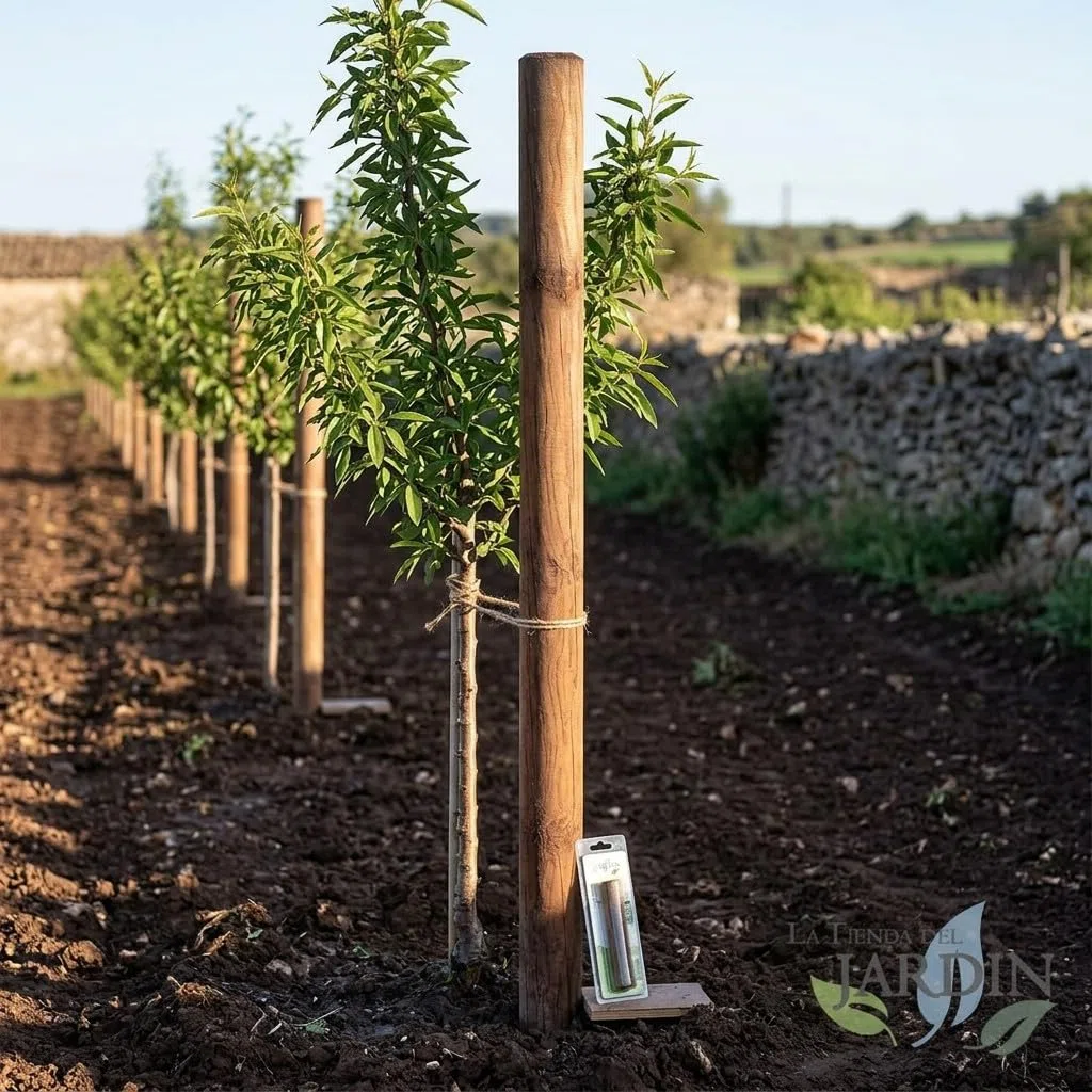Suinga Estaca para Arboles 150 cm Ø 8 cm | Tutores con Punta | Poste para Vallas, Jardin y Plantas | Poste de Madera | Soporte para arboles