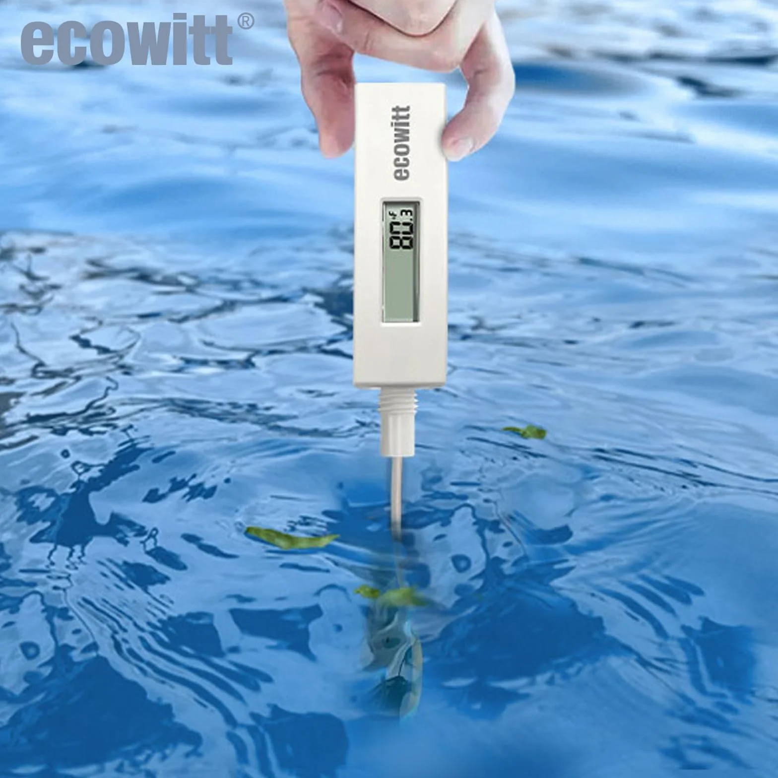 ECOWITT Termómetro impermeable digital de temperatura del agua, pantalla LCD, sensor de 10 pies para piscina, bañera de hidromasaje, spa, agua del baño, estanque WN34