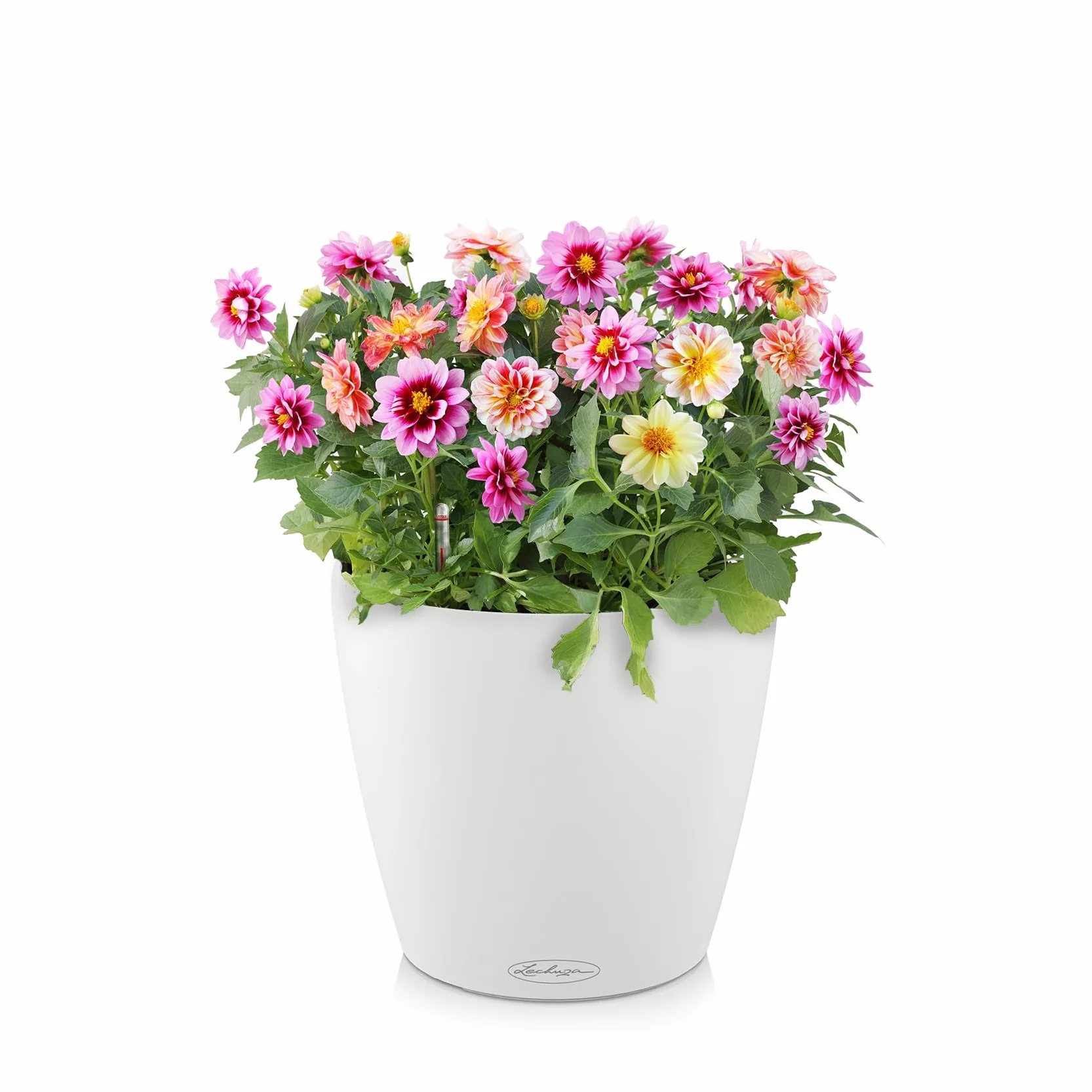 LECHUZA Maceta con Sistema de riego automático, 28 cm, Blanco, Classico
