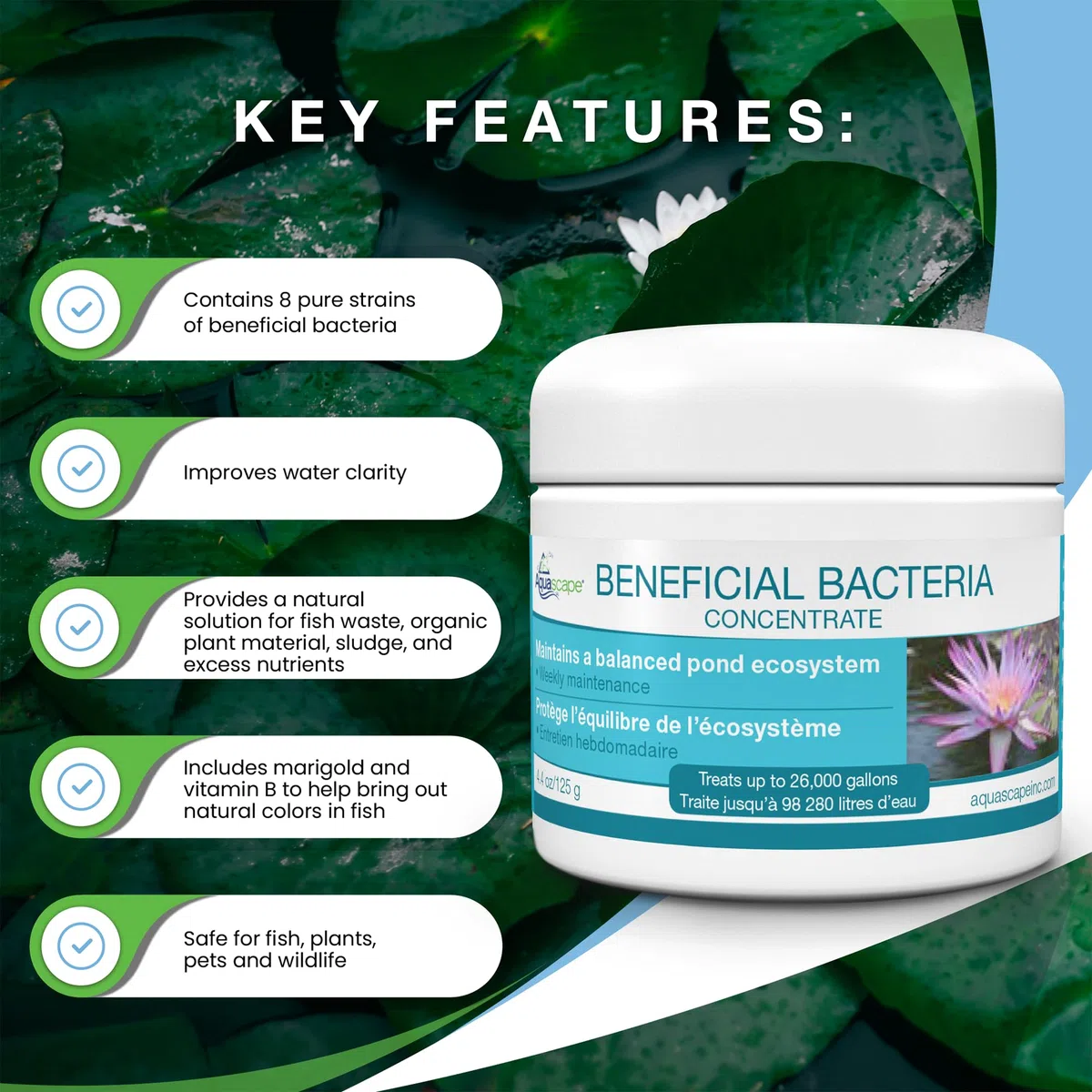 Aquascape Bacterias beneficiosas secas para estanques y características de Agua, 7 Libras | 98950, Blanco