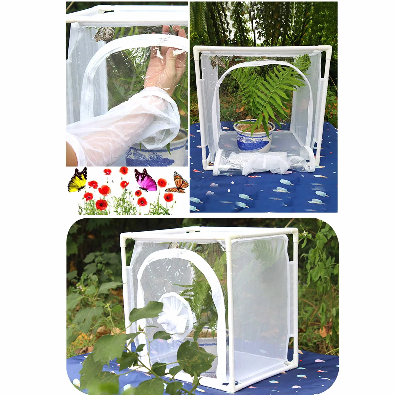 Jaula de Malla para Invernadero Jaula Antimosquitos Estructura Resistente para Cultivo Protegido Circulación de Aire Óptima Instalación Rápida y Fácil