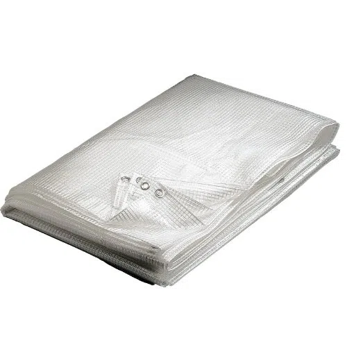 Provence Outillage 2892 - Toldo (160 g/m, 4 x 6 m), transparente