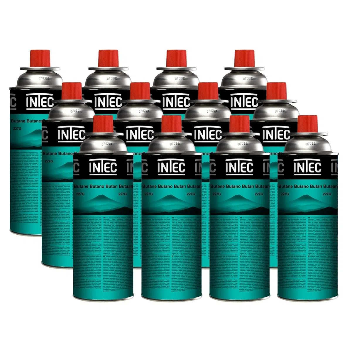 INTEC UN2037 - Lote de 12 cartuchos de gas butano, 250 g, botellas seguras sin fugas para hornillo de camping, plancha, soplete de cocina y desherbador térmico versátil