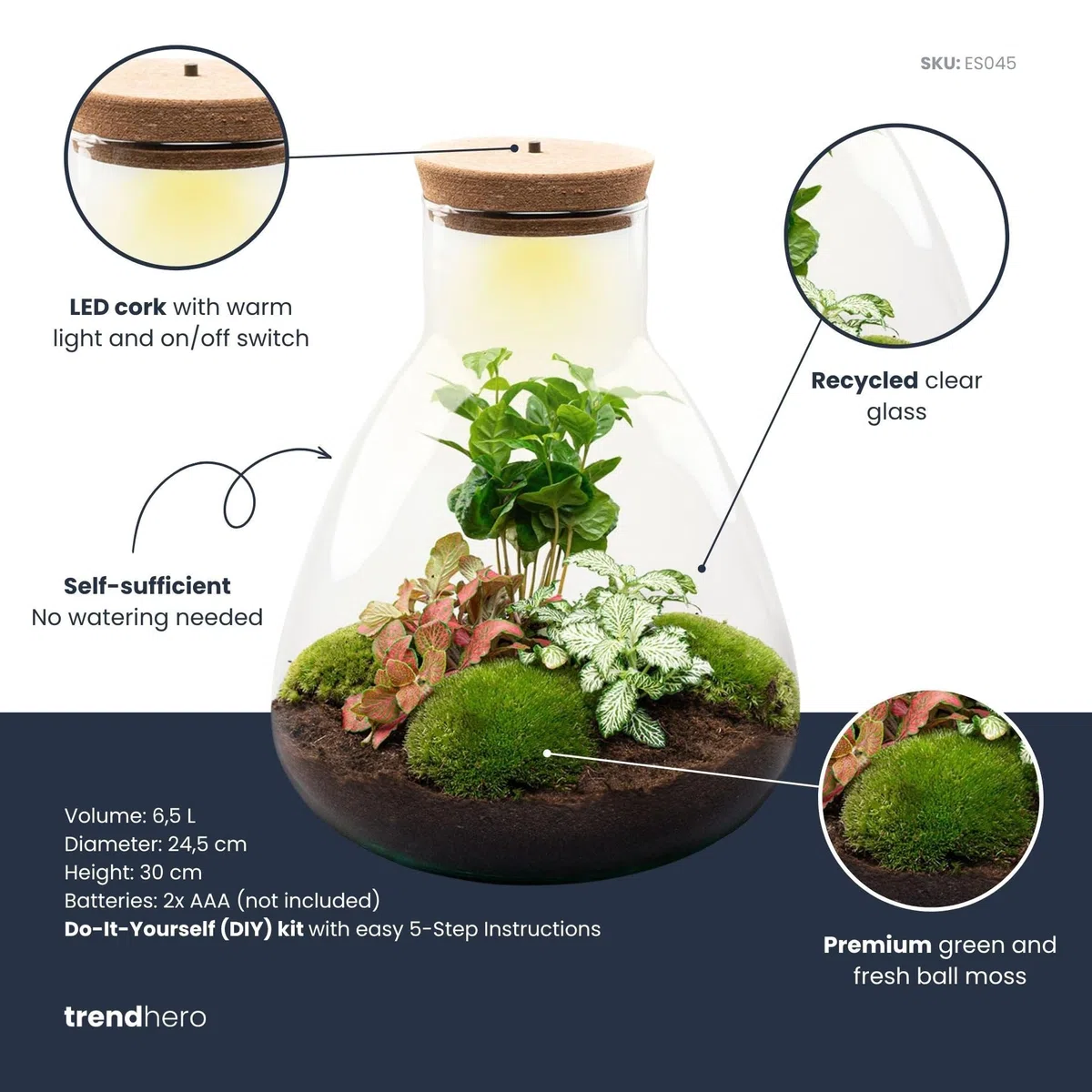 Terrario de Plantas • Sam Coffea con lámpara • Planta ecosistema con luz • ↑ 30 cm