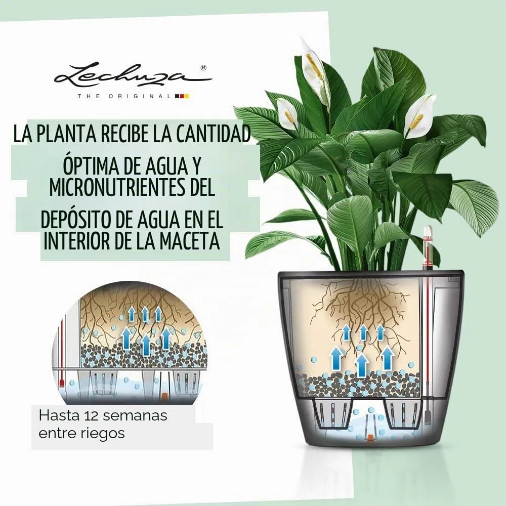 Lechuza Classico Premium LS 21 Antracita Metalizado 16023