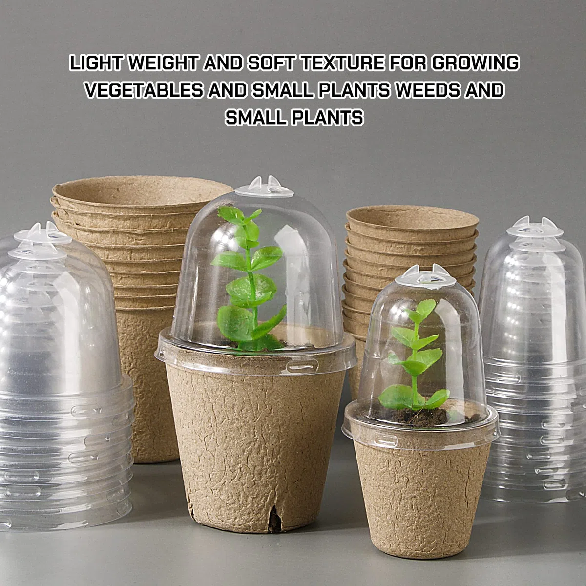 20pcs Semilleros Germinación Biodegradables Macetas Semillas para Germinación con Tapa Transparente Maceteros Biodegradables Pequeñas con Agujeros para Plantar Invernadero Huerto Jardín