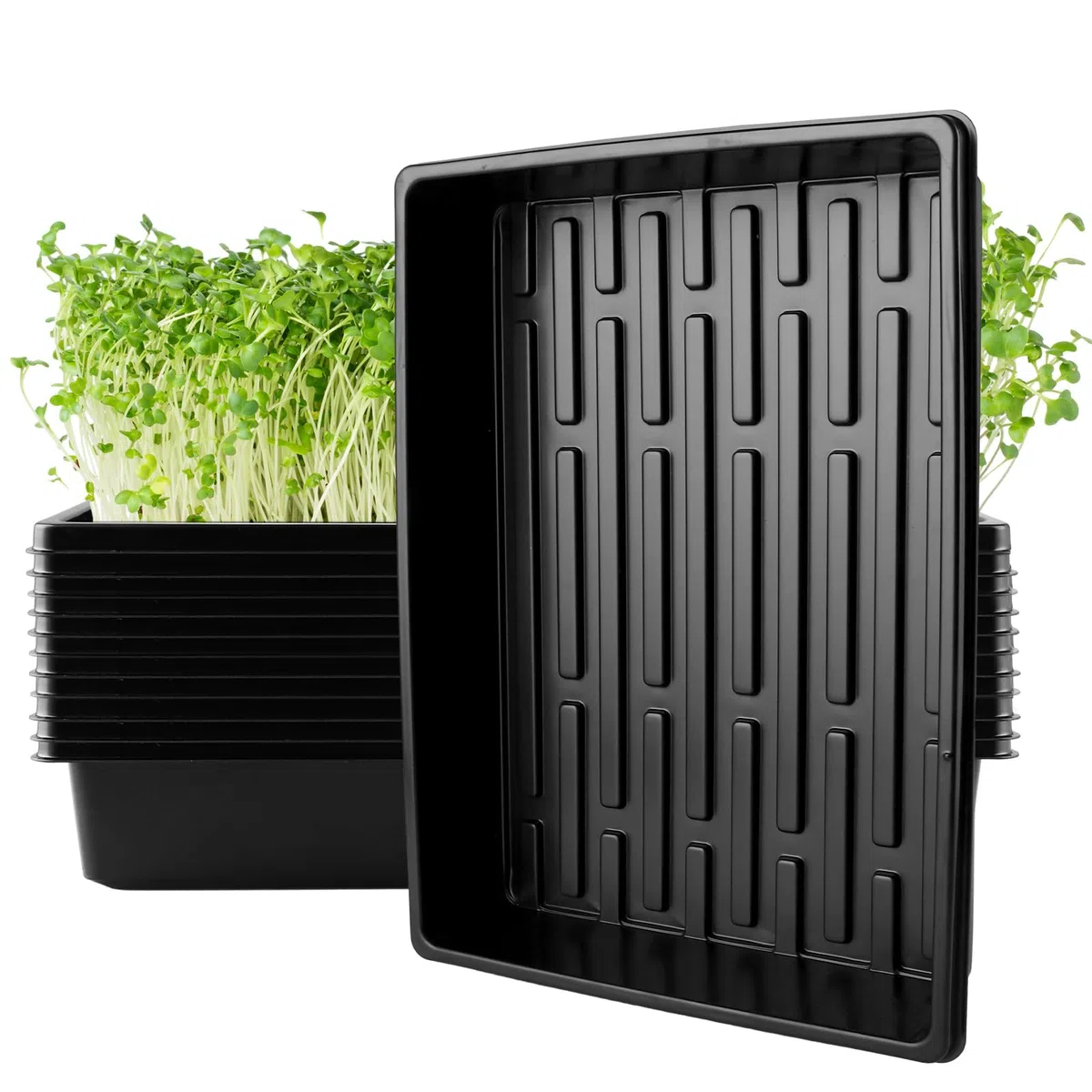 JMIATRY 12 Unidades Semilleros de Germinacion Sin Agujeros Negro 39x29x6,5 cm Bandeja Semillero de Cultivo PS para Plantas y Semillas, Jardineria Interior