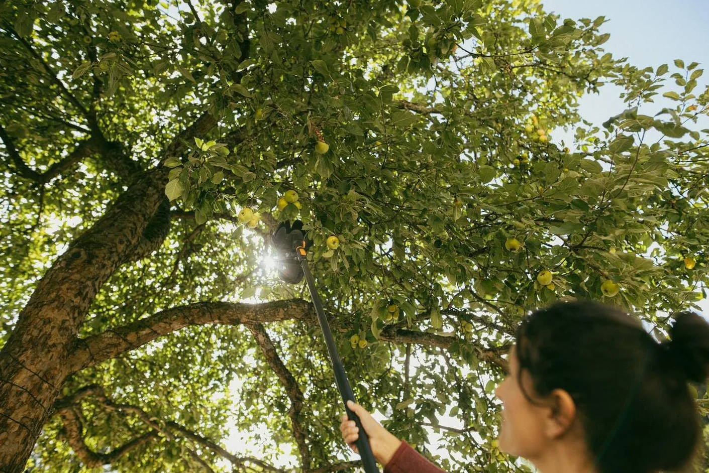 Fiskars OneClick Mango Telescópico M, Extensible de 119 a 179 cm, Cambio en 1 Clic, Adaptador QuikFit Disponible por Separado, Empuñadura SoftGrip, Aluminio, Negro y Naranja, 1080671